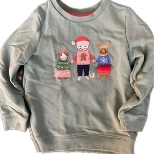 Mini Boden Teal and Red Sweatshirt